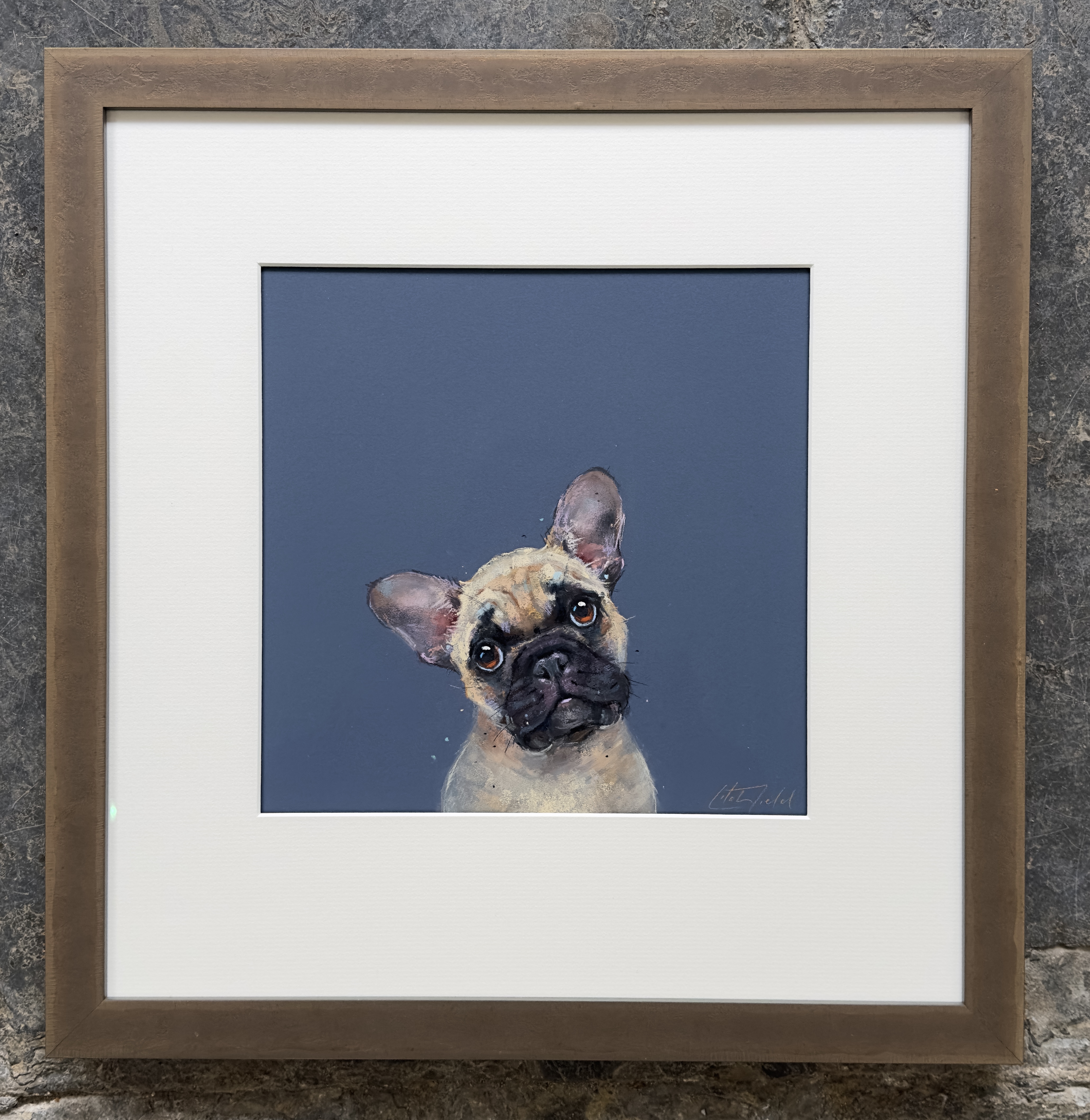 Nicky Litchfield Frenchie