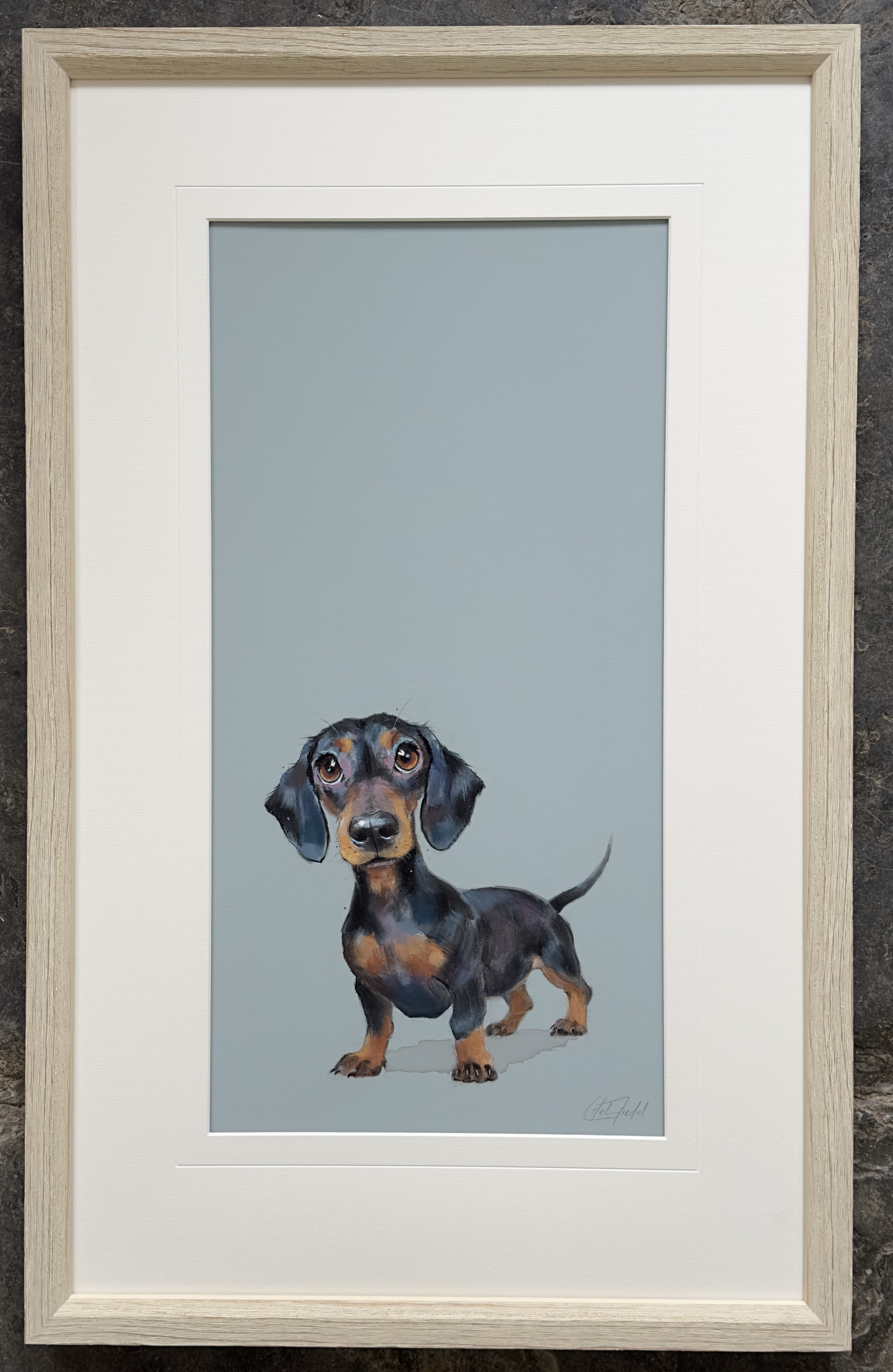 Nicky Litchfield Dachsy